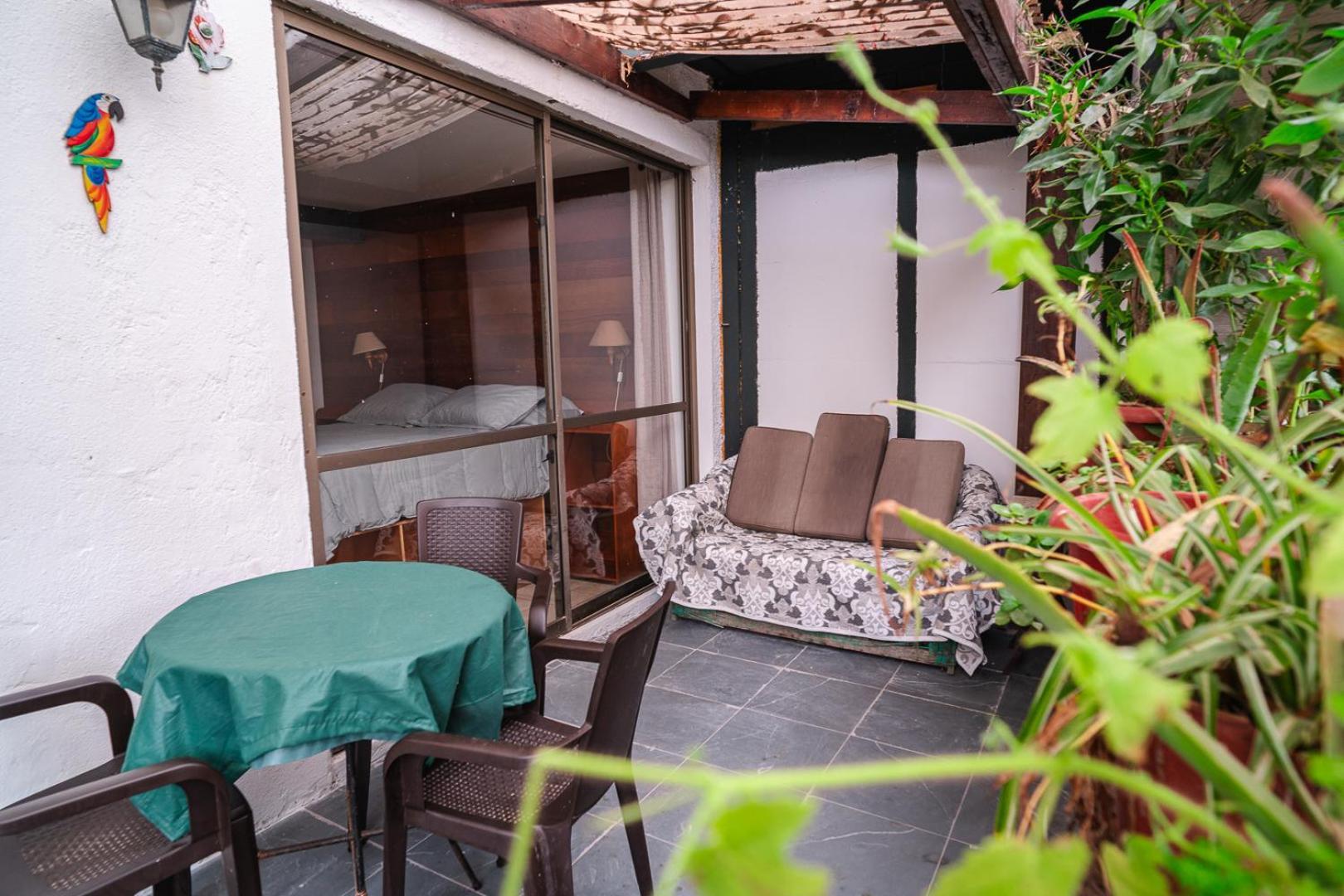 Cabanas El Bosque Maitencillo  Exteriér fotografie